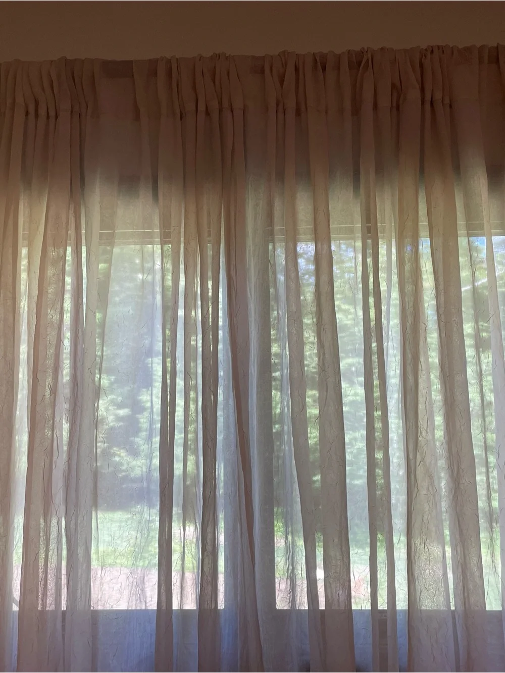 Sheer Window Curtain Panel in Light Beige by